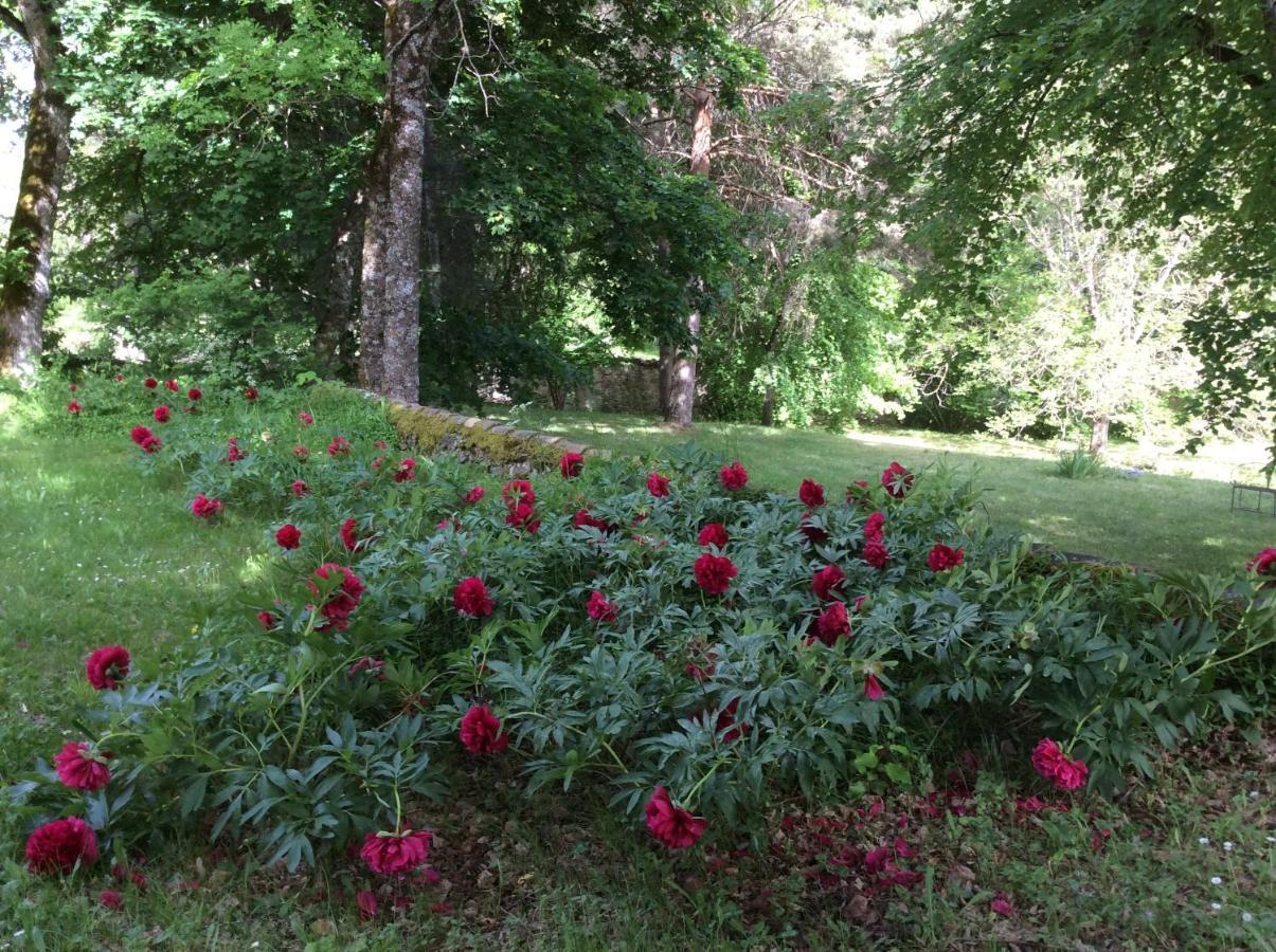 Couette-café Chateau De Laric Chabestan